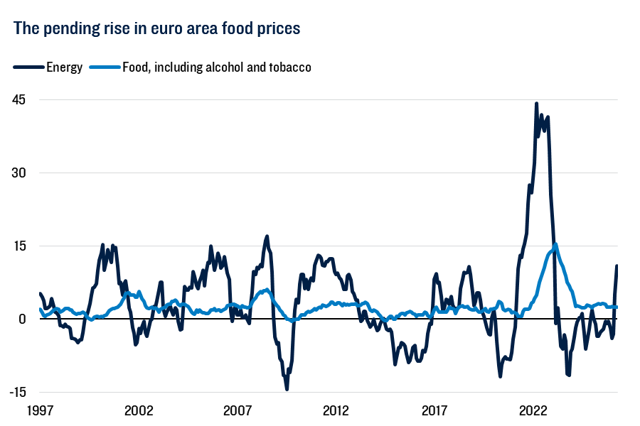 Euro area annual inflation: energy highly volatile with 2022 spike, food steadier, rising modestly then easing (1997–2026).
