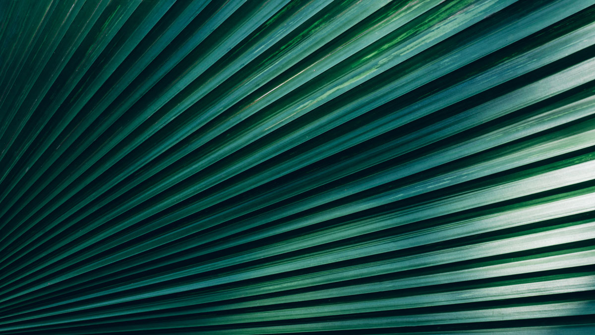 Portfolio Implications of a Higher US Inflation Regime